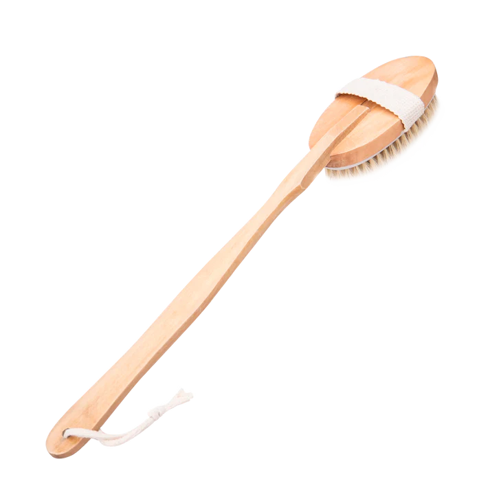 Sauna Brush